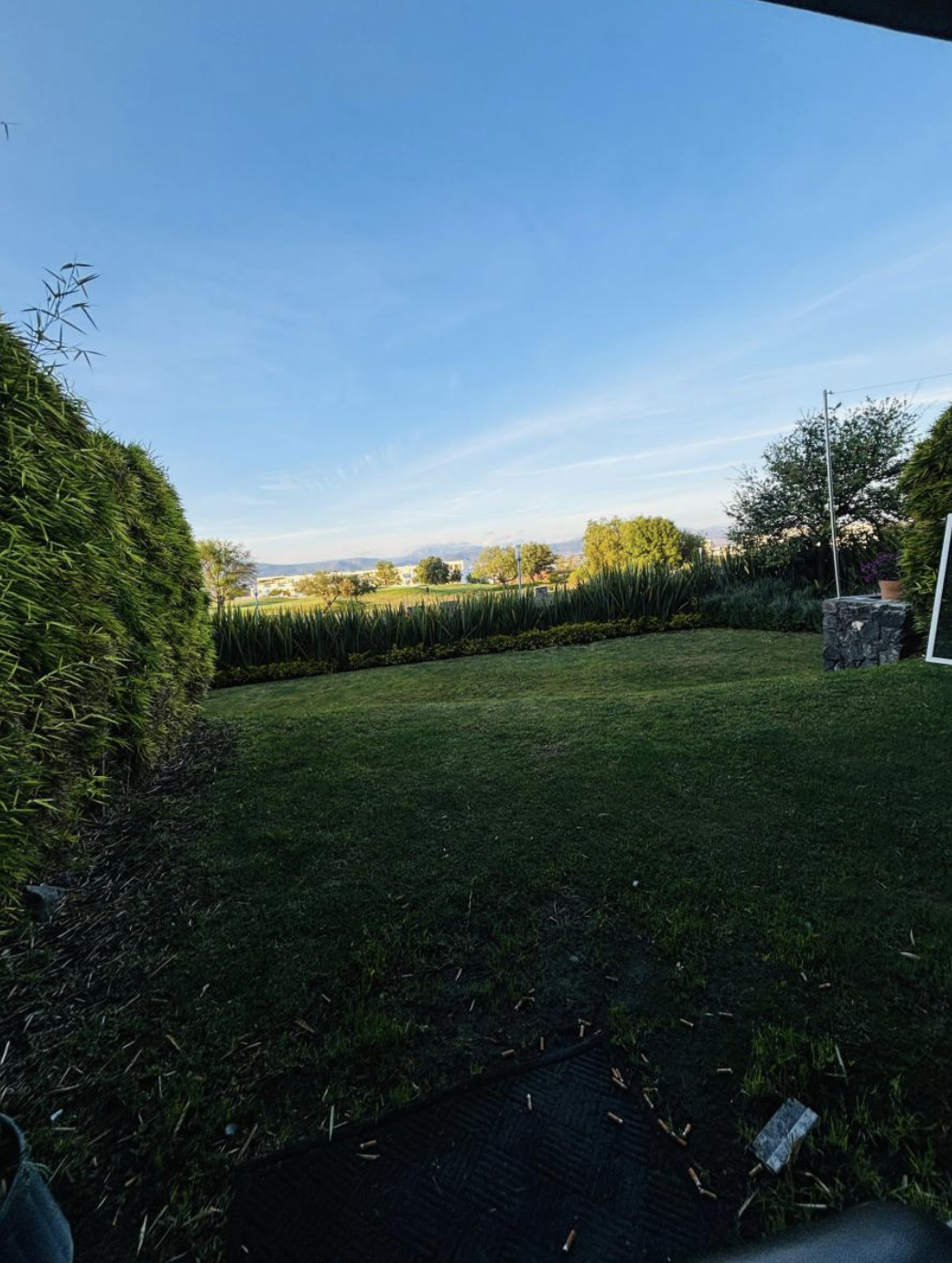 Captura de pantalla 2026-01-26 a la(s) 7.30.32 p.m.